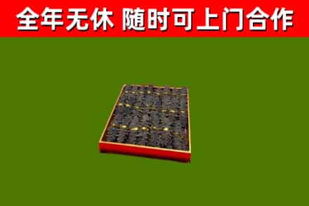 阜新回收海参